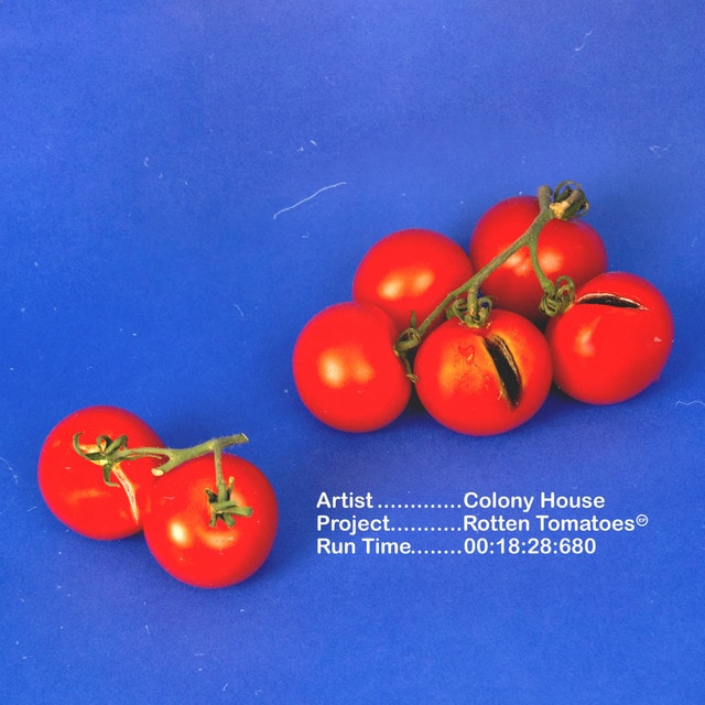 rotten tomatoes cover art