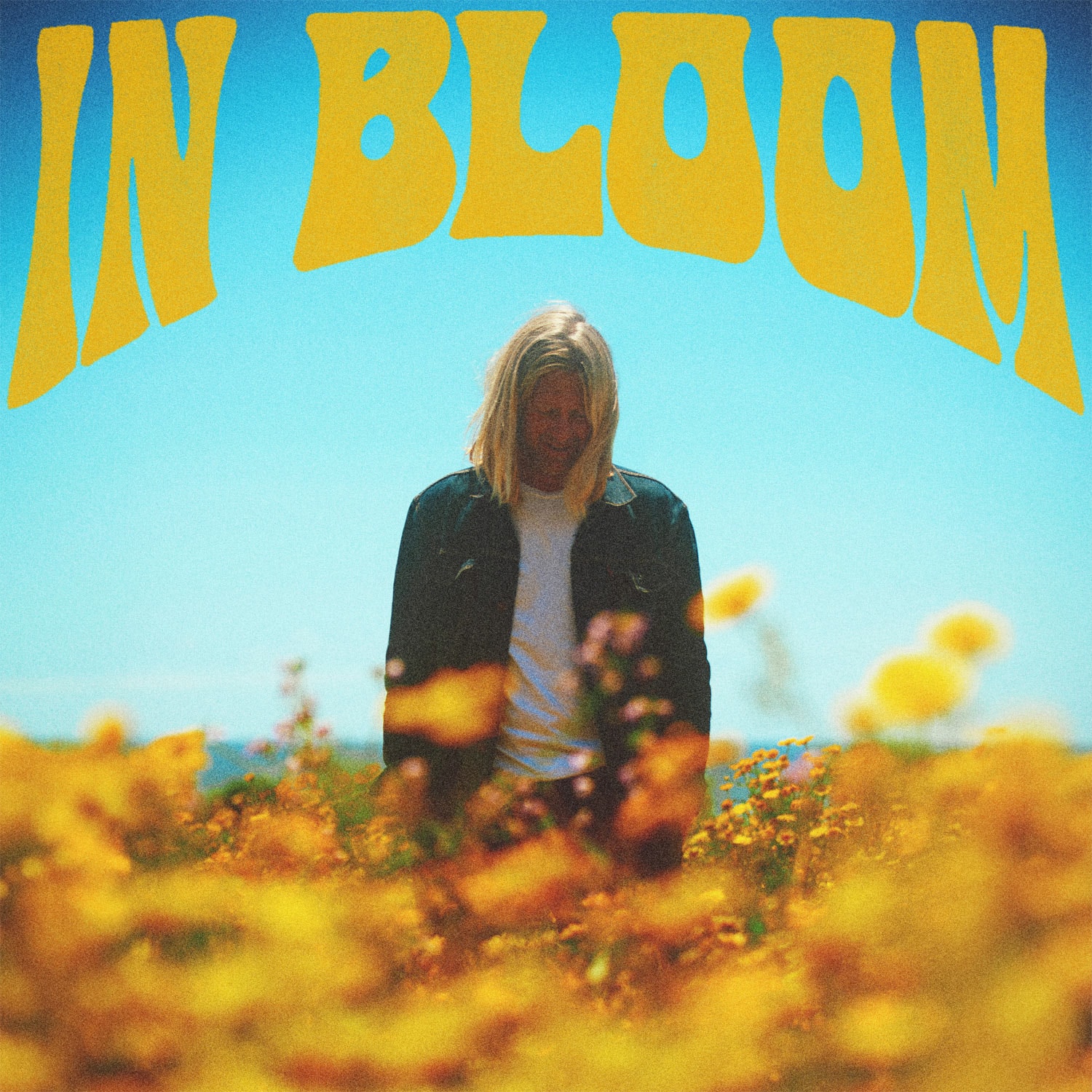 in bloom cover art